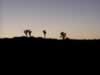 Night Falls as we get close to Owens Valley